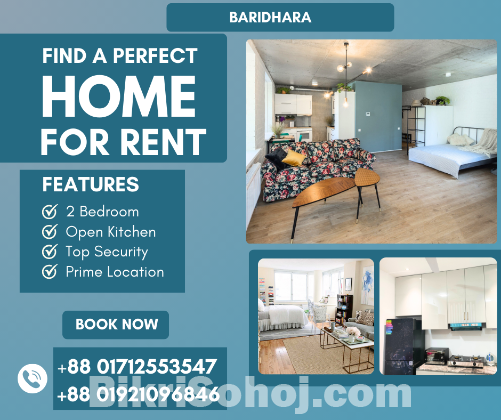 Furnished 2 Bedroom Studio Apartment RENT in Baridhara.